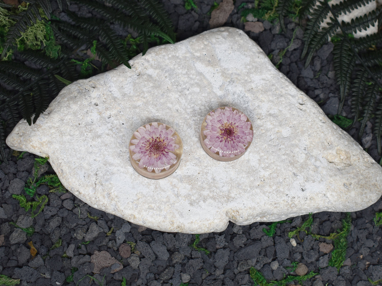 Plugi do uszu 24mm | Stokrotka | Para Spirit Of Copper