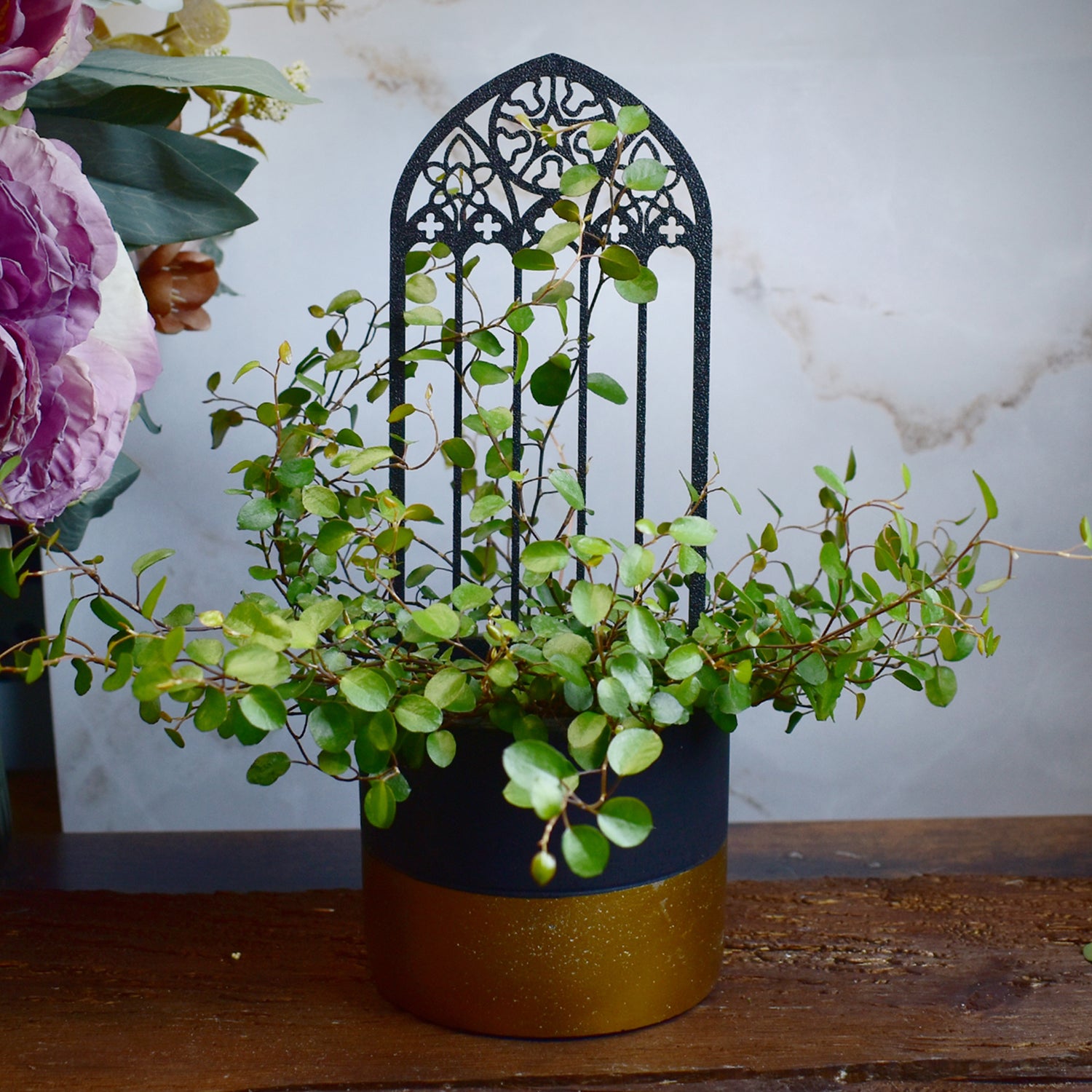decorative plant trellis inspired by medieval gothic window design