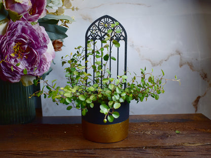 intricate gothic rosette plant support for modern home decor