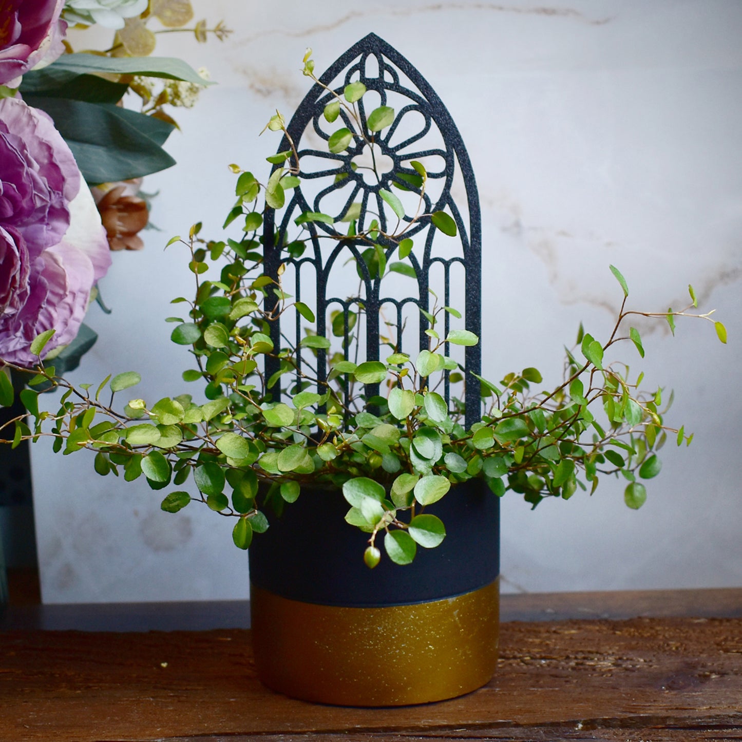 stylish plant support with cathedral window silhouette