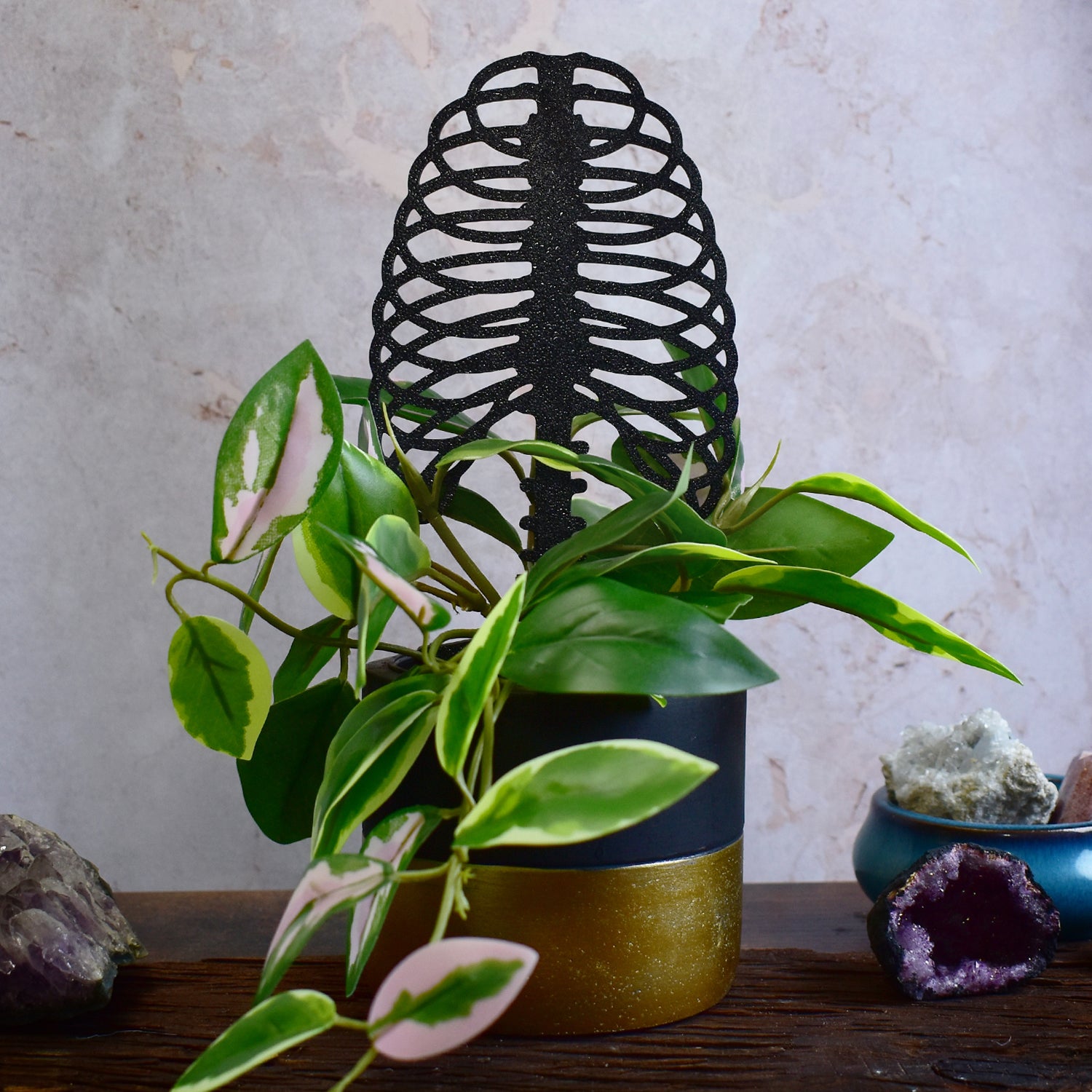 rib cage shaped flower pot support for vines and creepers