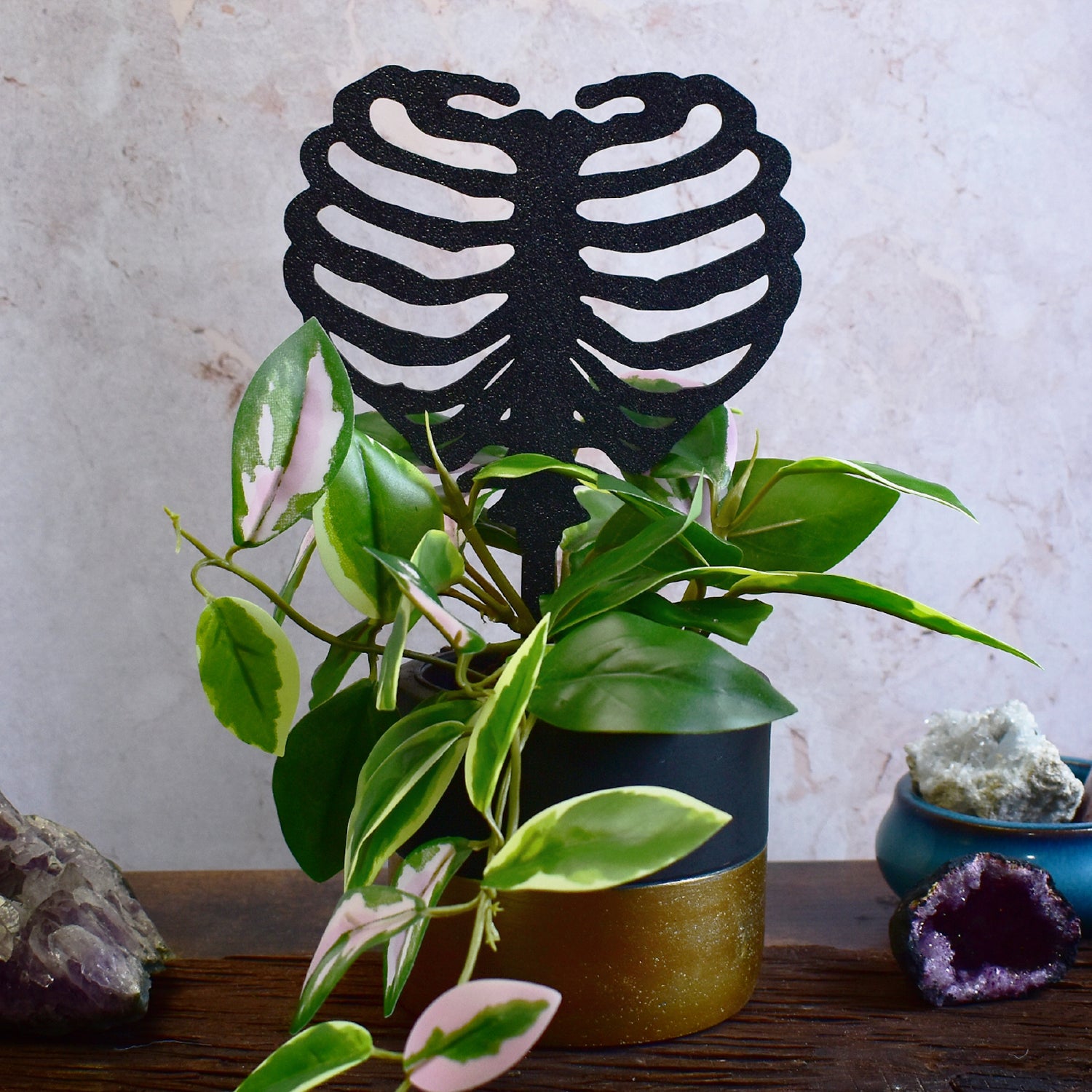 skeleton plant trellis Gothic Plant Support – Ribcage Shaped Trellis for Indoor Plants
