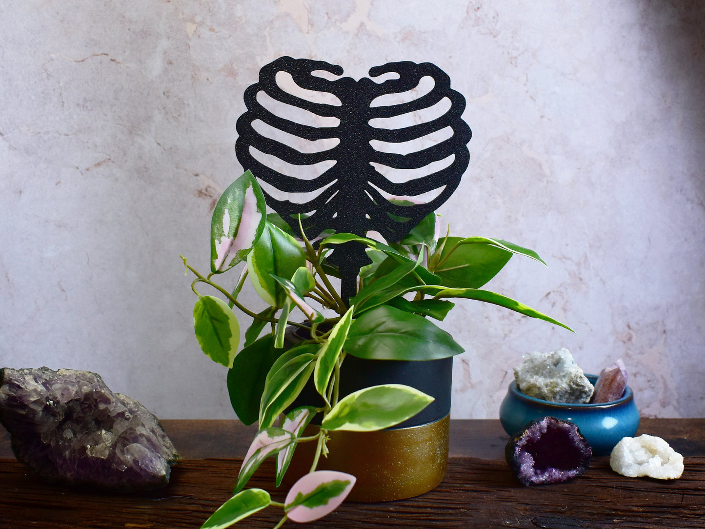 dark aesthetic plant trellis in ribcage shape for gothic home decor
