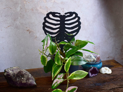 anatomical plant support shaped like human ribs for indoor pots
